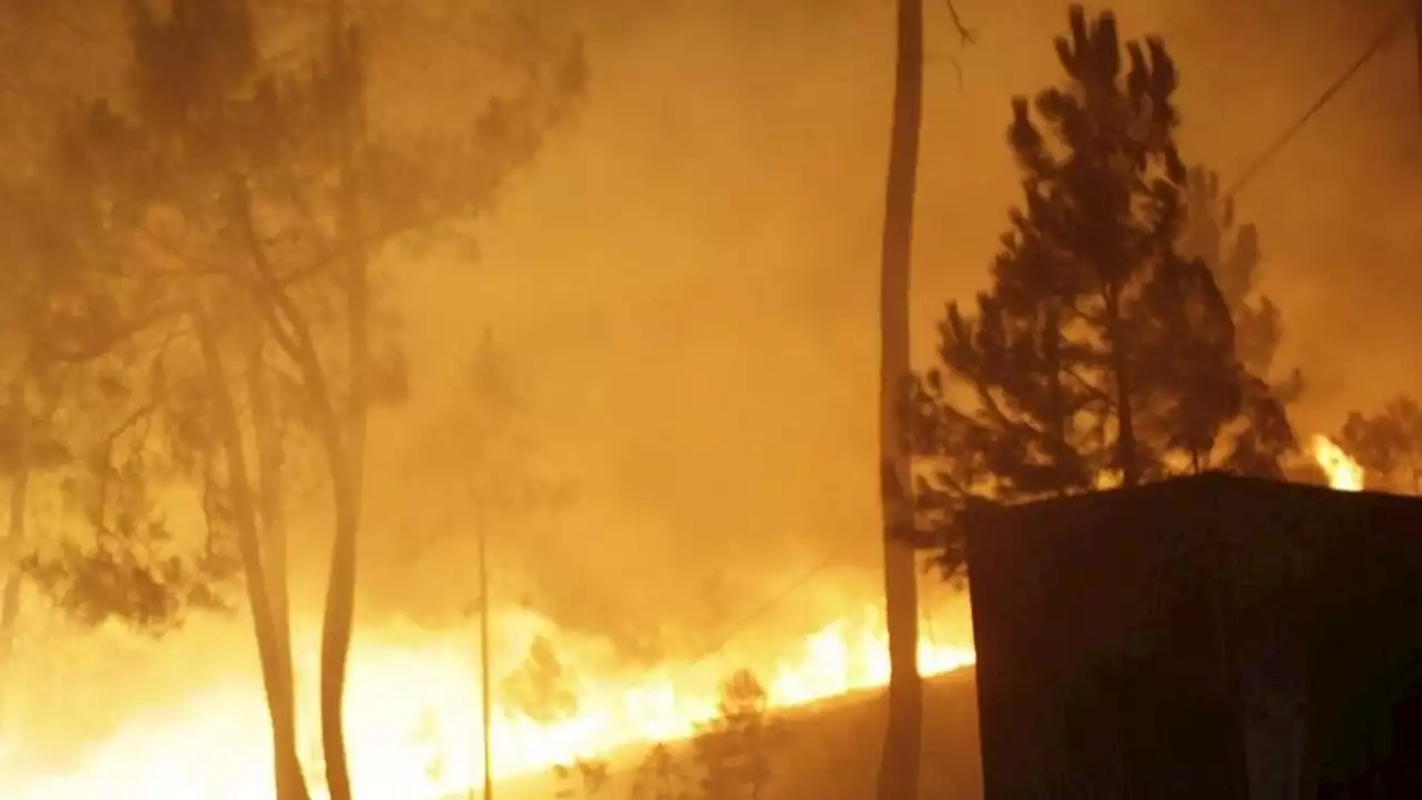 Incêndios: Ageas com assistência especial a clientes