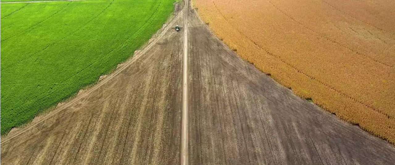 Drone photos: A parched Texas landscape decimated by drought and record heat