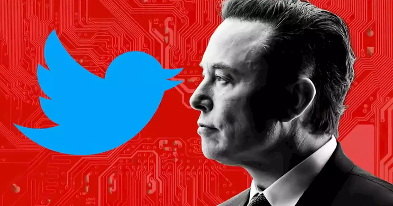 Twitter desestima a Elon Musk y su complot sobre los bots con una dura crítica