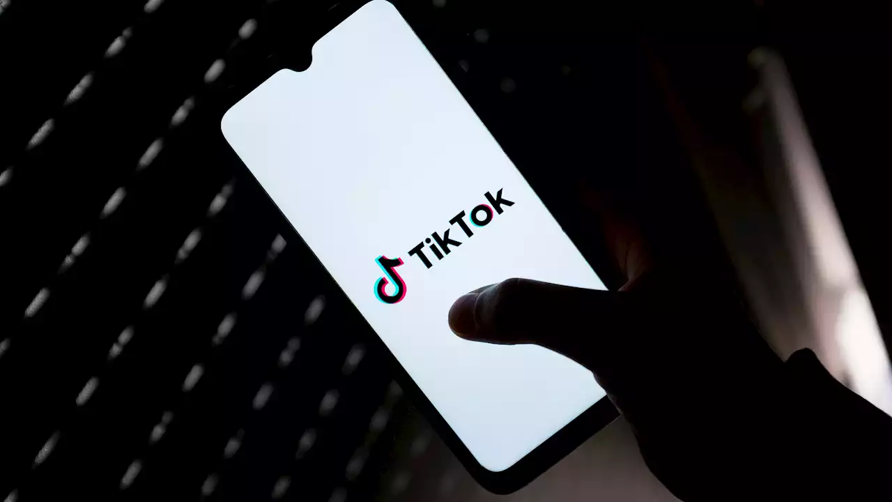 Hype-Plattform: Warum sich Unternehmen endlich stärker an TikTok herantrauen sollten