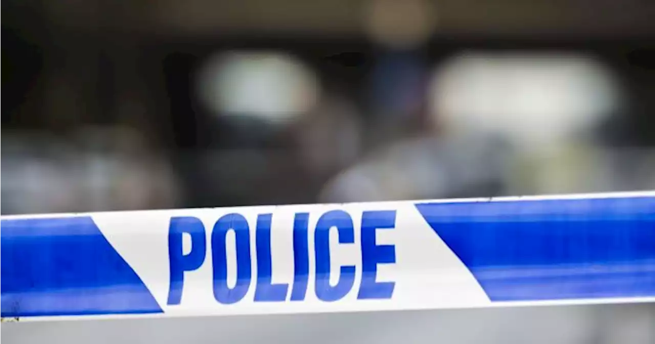 Two people dead following light aircraft crash in Down | JOE.ie