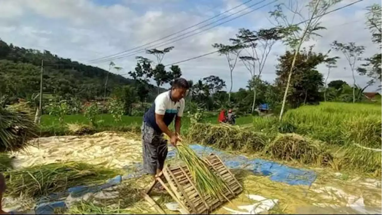 HKTI Jember Minta Tinjau Ulang Pencabutan Subsidi Pupuk