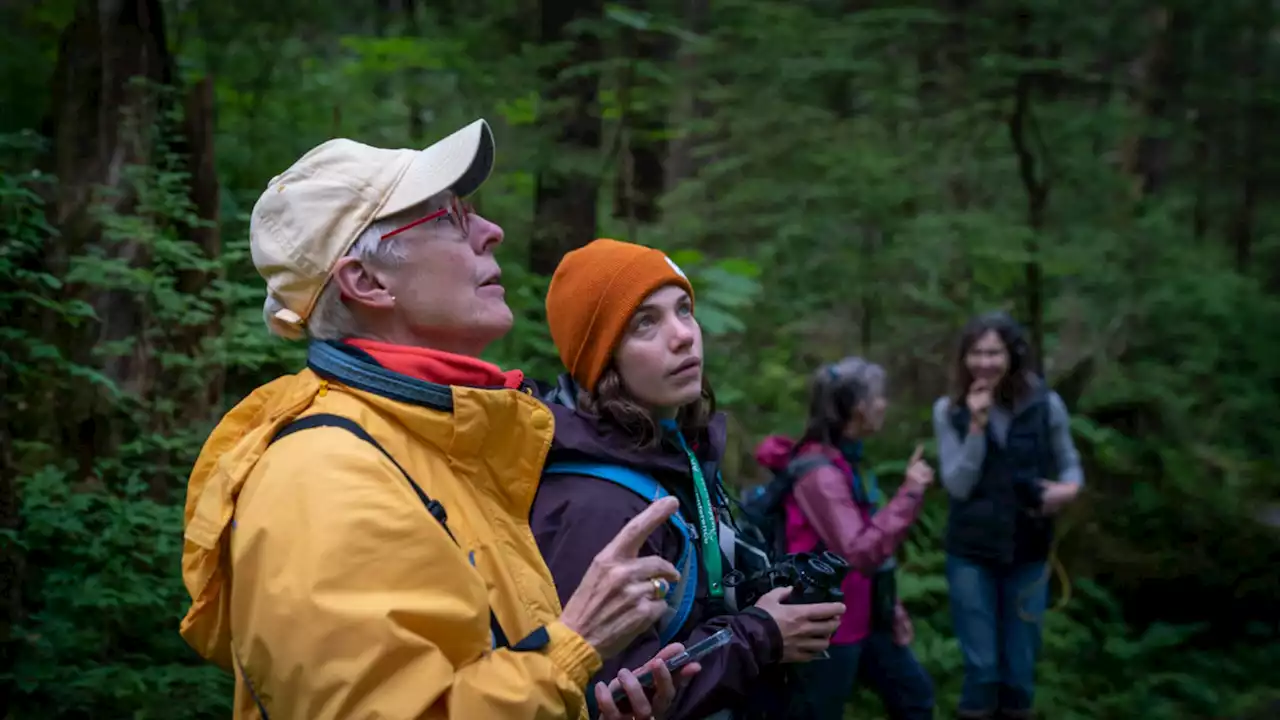 Birdwatchers spend more and stay longer than other Alaska tourists, study says