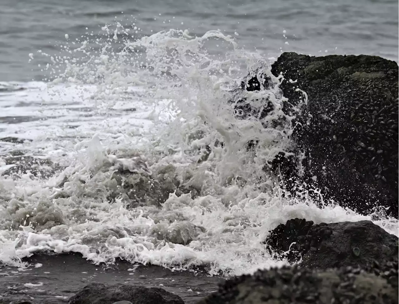 Marin beaches receive high marks for water quality