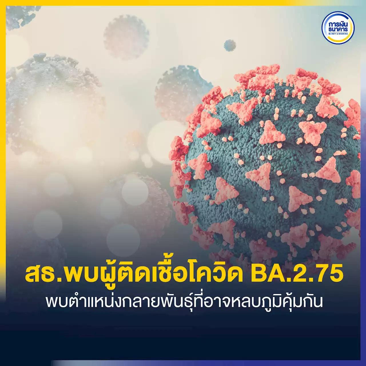 สธ.พบผู้ติดเชื้อโควิด BA.2.75 พบตำแหน่งกลายพันธุ์ที่อาจหลบภูมิคุ้มกัน