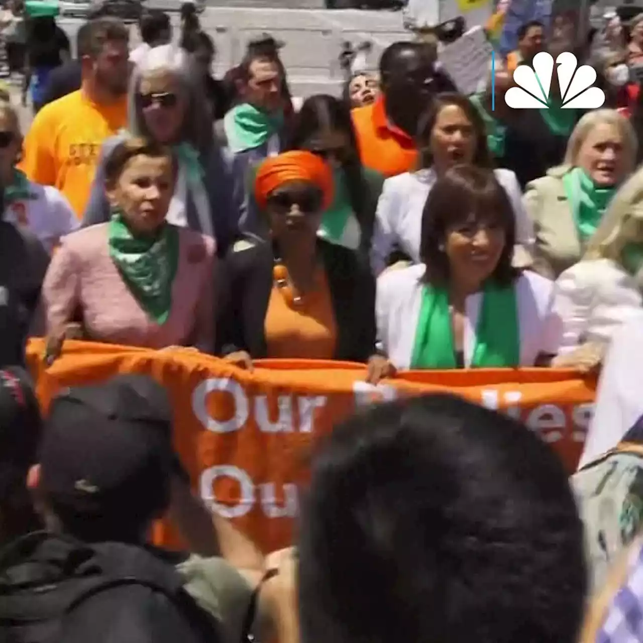 17 Democratic Members of Congress Arrested During DC Abortion Rights Protest