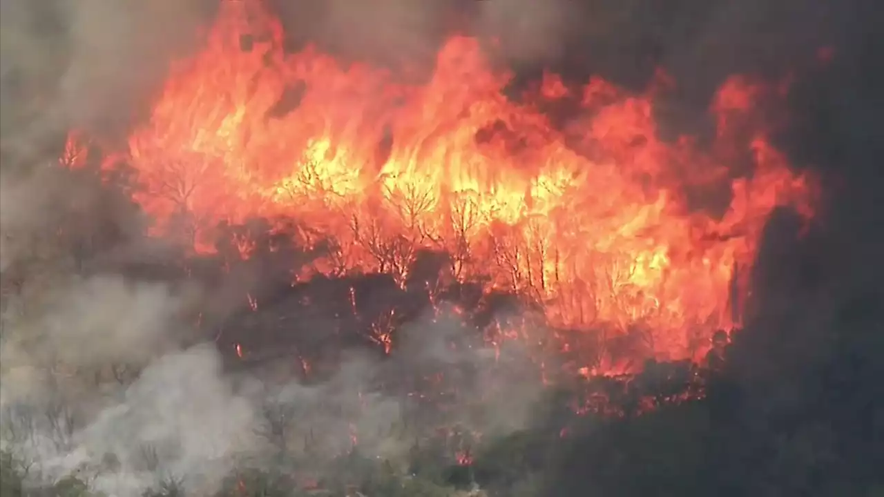 Chalk Mountain Fire Consumes 6,000 Acres, 12 Buildings in Somervell County