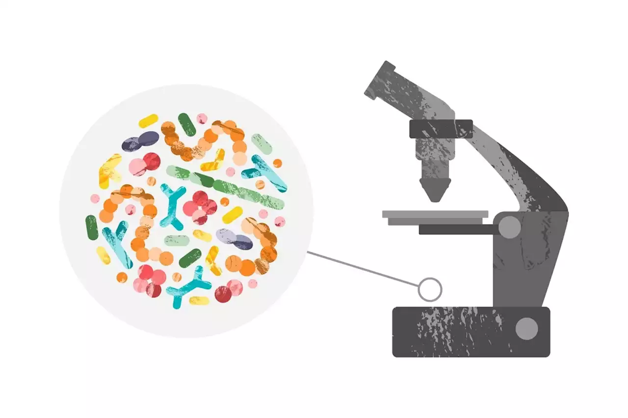 Identifying a core human microbiome