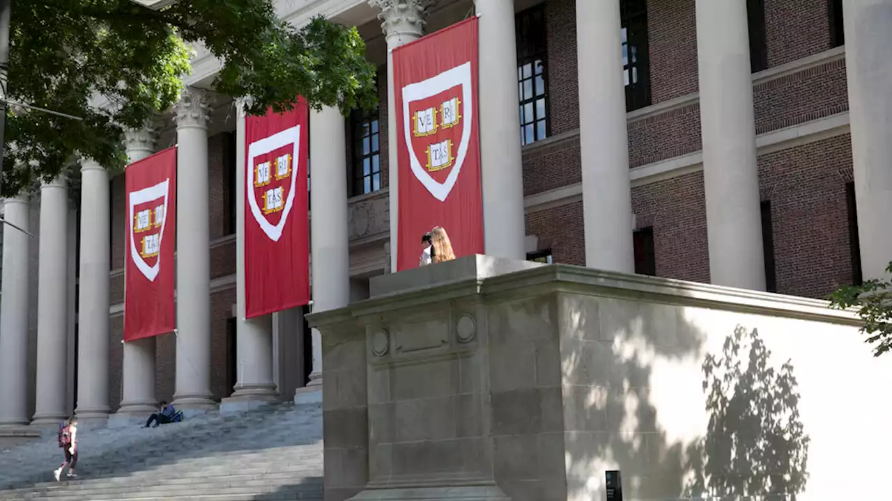 Harvard lanzó cursos para estudiar gratis y desde casa: cuáles son | Se dictan en inglés