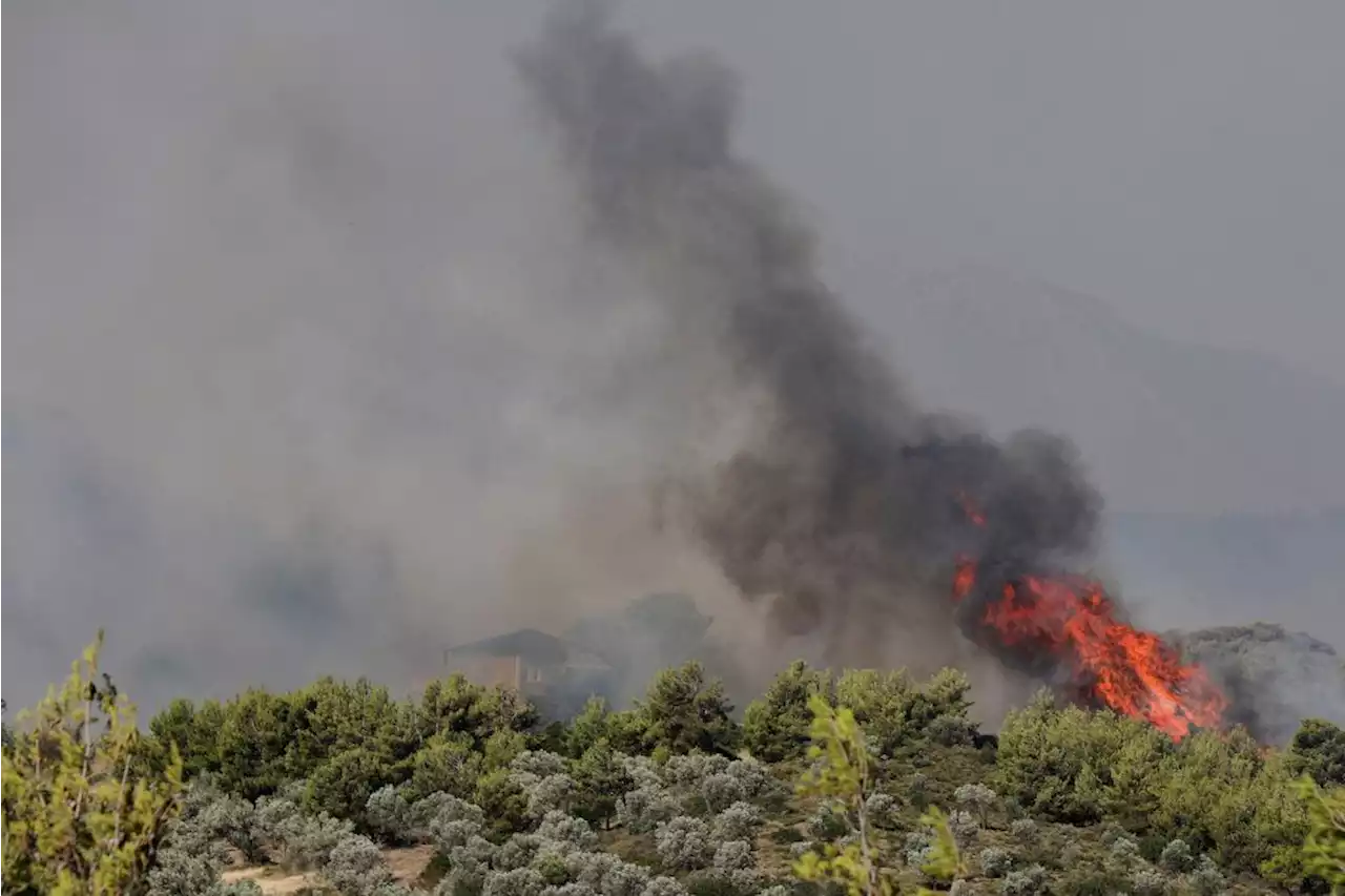 Wildfire rages near Athens as hundreds evacuated