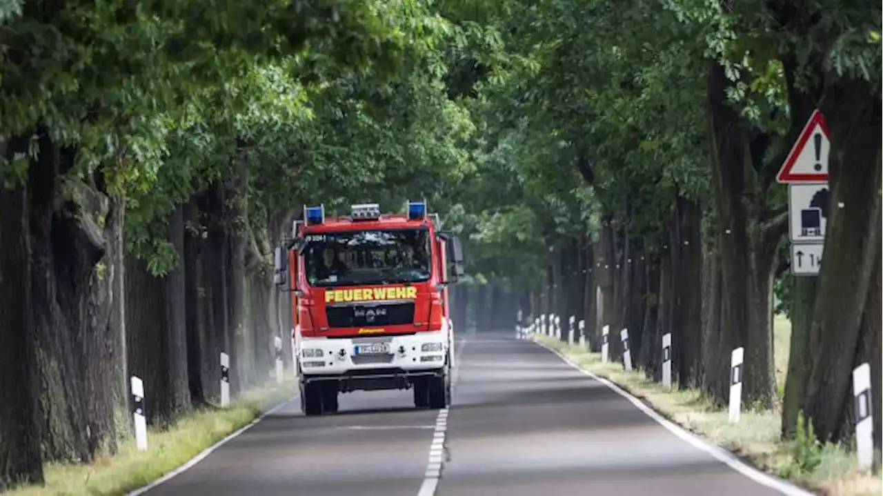 Feuerwehr gibt Entwarnung nach Waldbrand bei Oranienburg