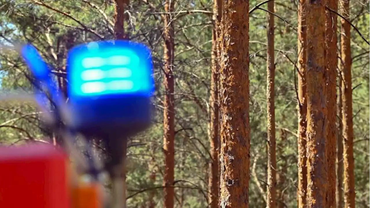 Feuerwehr gibt Gefahrenmeldung für Bad Saarow und Rietz-Neuendorf aus