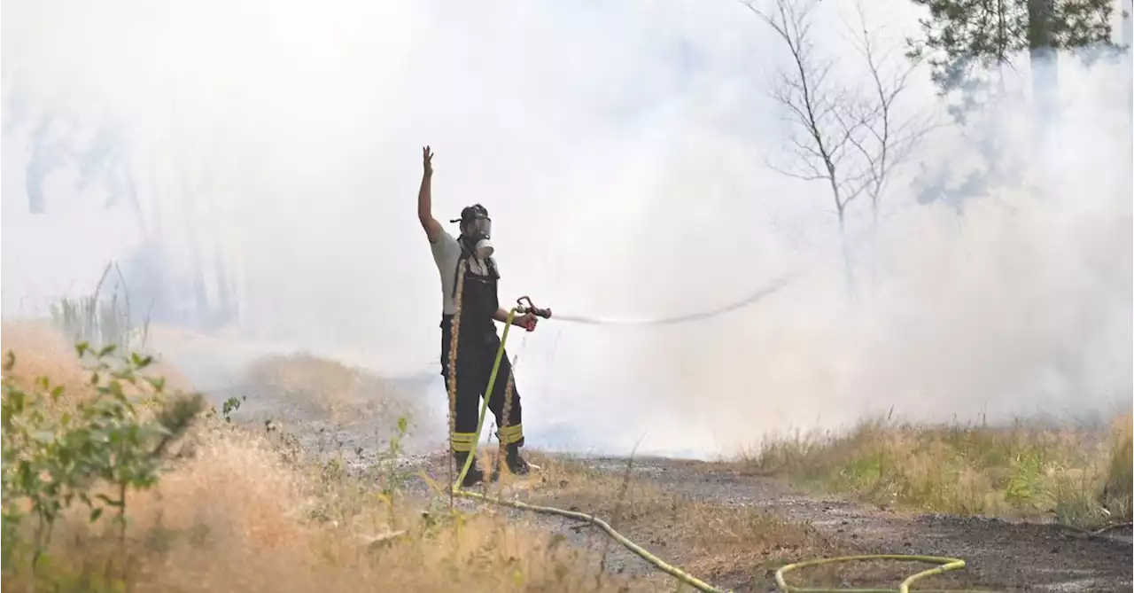 Explainer: How climate change drives heatwaves and wildfires in Europe