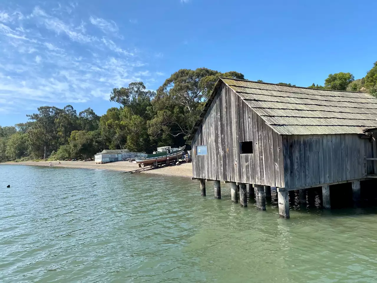 San Francisco man dies in North Bay’s China Camp State Park