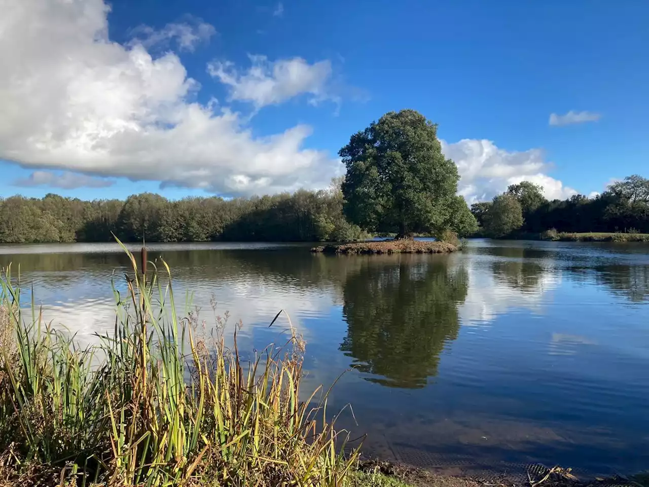 Shropshire lake site tightens security after staff abused