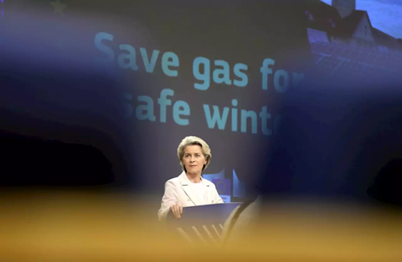 EU asks member states to cut gas use by 15% over winter to avoid Russian 'blackmail'