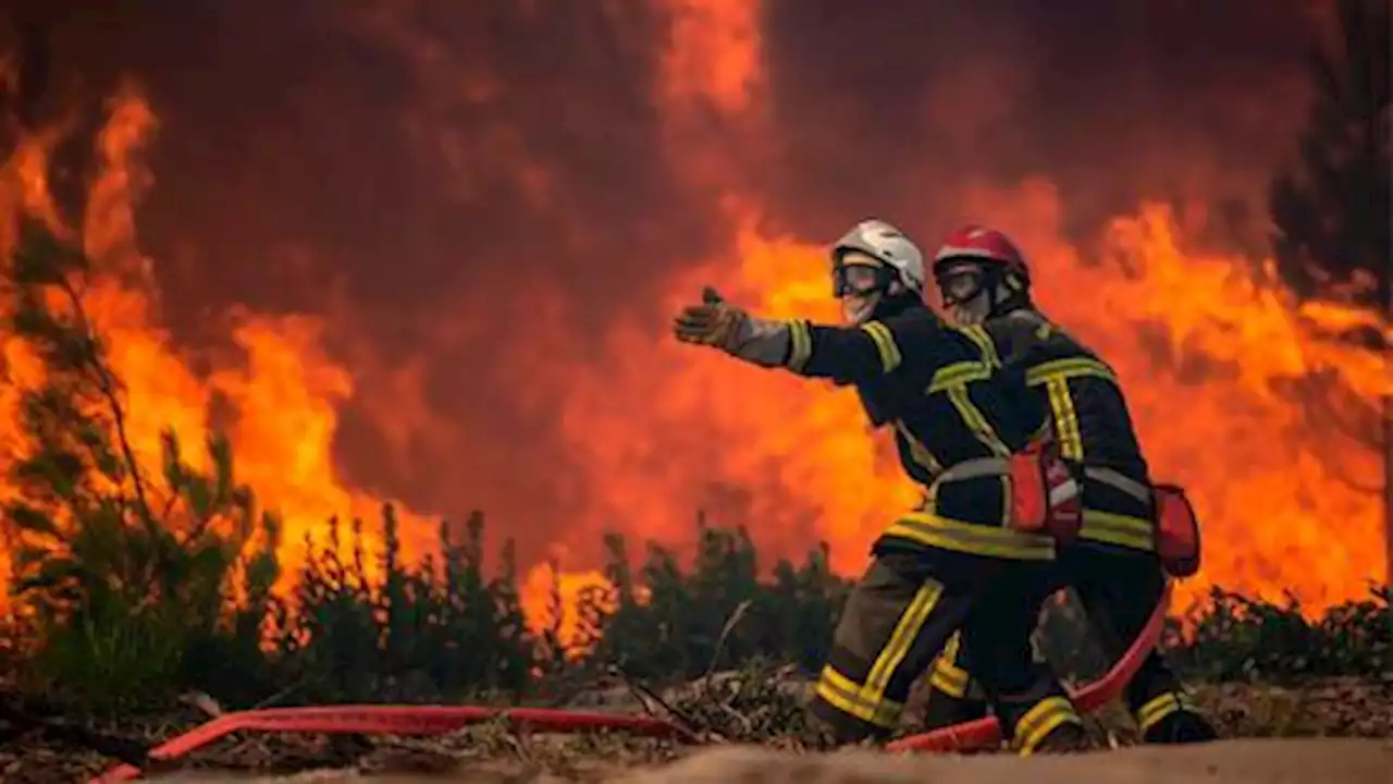 In pictures: Punishing heat wave sweeps Europe, sparks wildfires