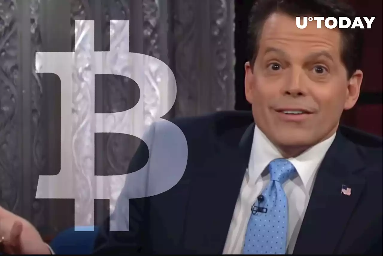 Scaramucci Facing Investor Exodus Amid Crypto Crash