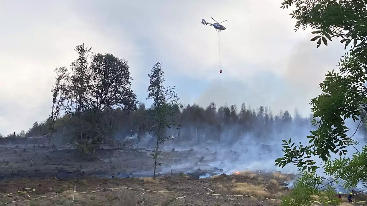 Waldbrand in Altena außer Kontrolle