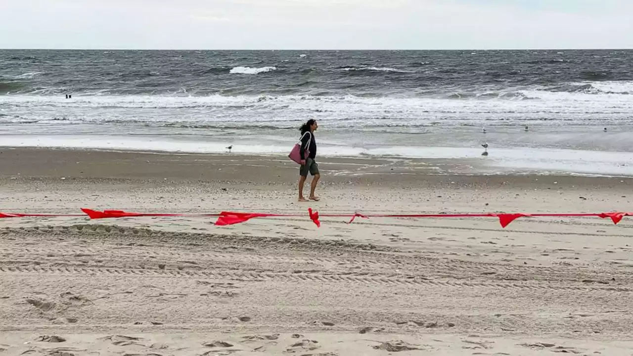 Shark sightings shut down swimming at New York City beaches