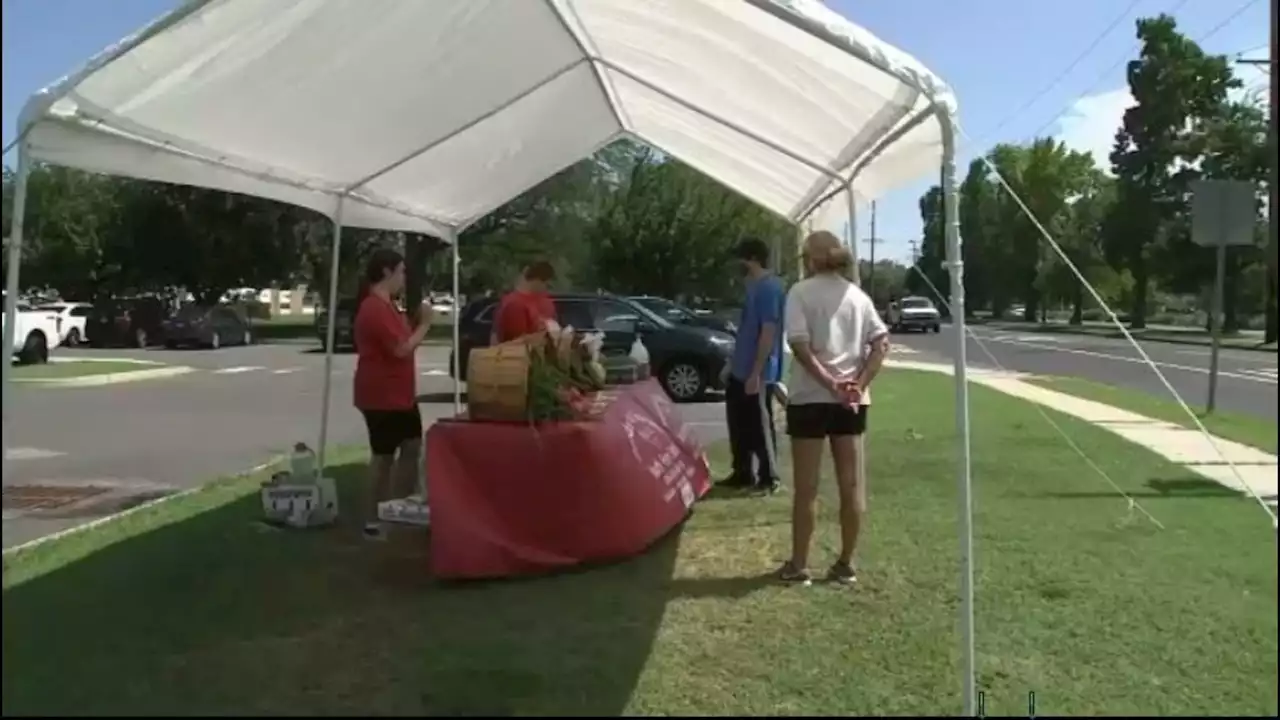 South Jersey students planting the seeds to success at farm stand this summer