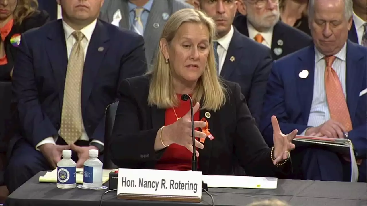 Highland Park Mayor Nancy Rotering testifies at Senate hearing on gun violence