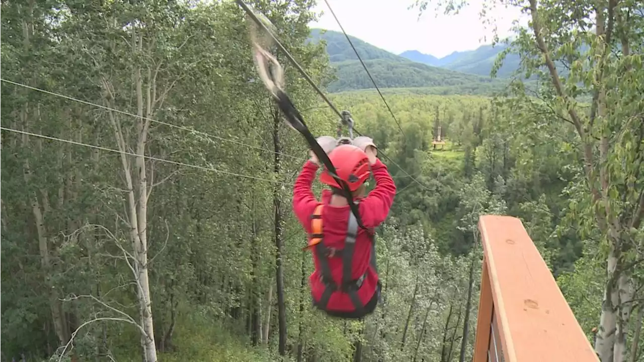 Palmer zipline park takes visitors to new heights