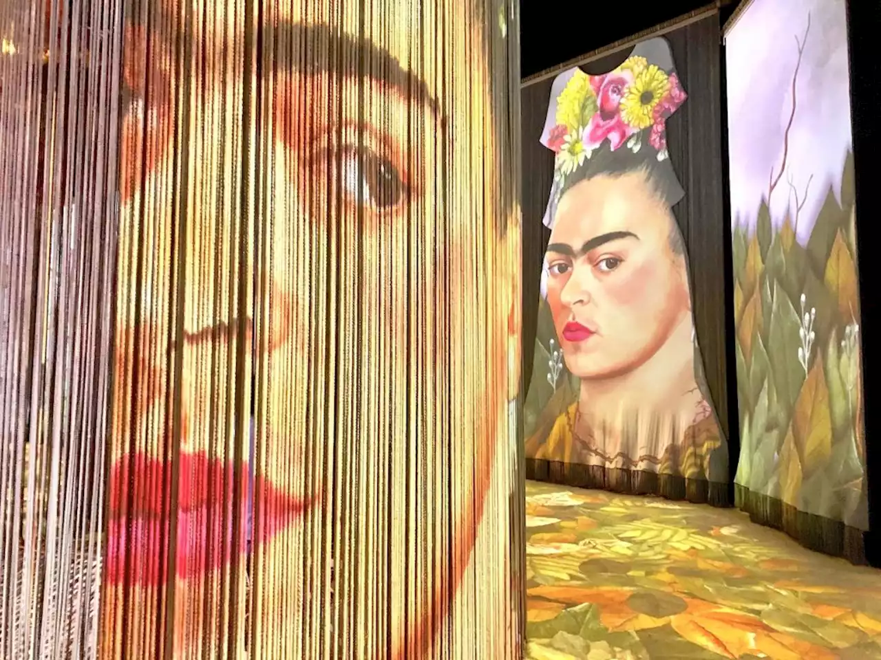 Mexico City's Frida Kahlo Experience Takes 'Frida-Mania' to Its Logical Final Form: Dreamy Animation and Inspirational Quotes | Artnet News