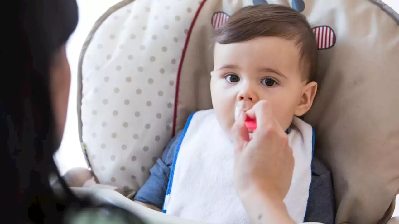 Getreidebreie für Babys im Öko-Test