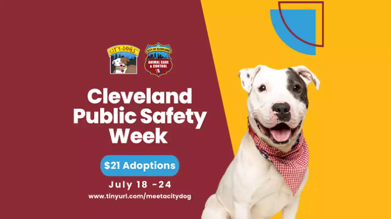 Cleveland City Dogs adoption fees reduced to clear the full kennels