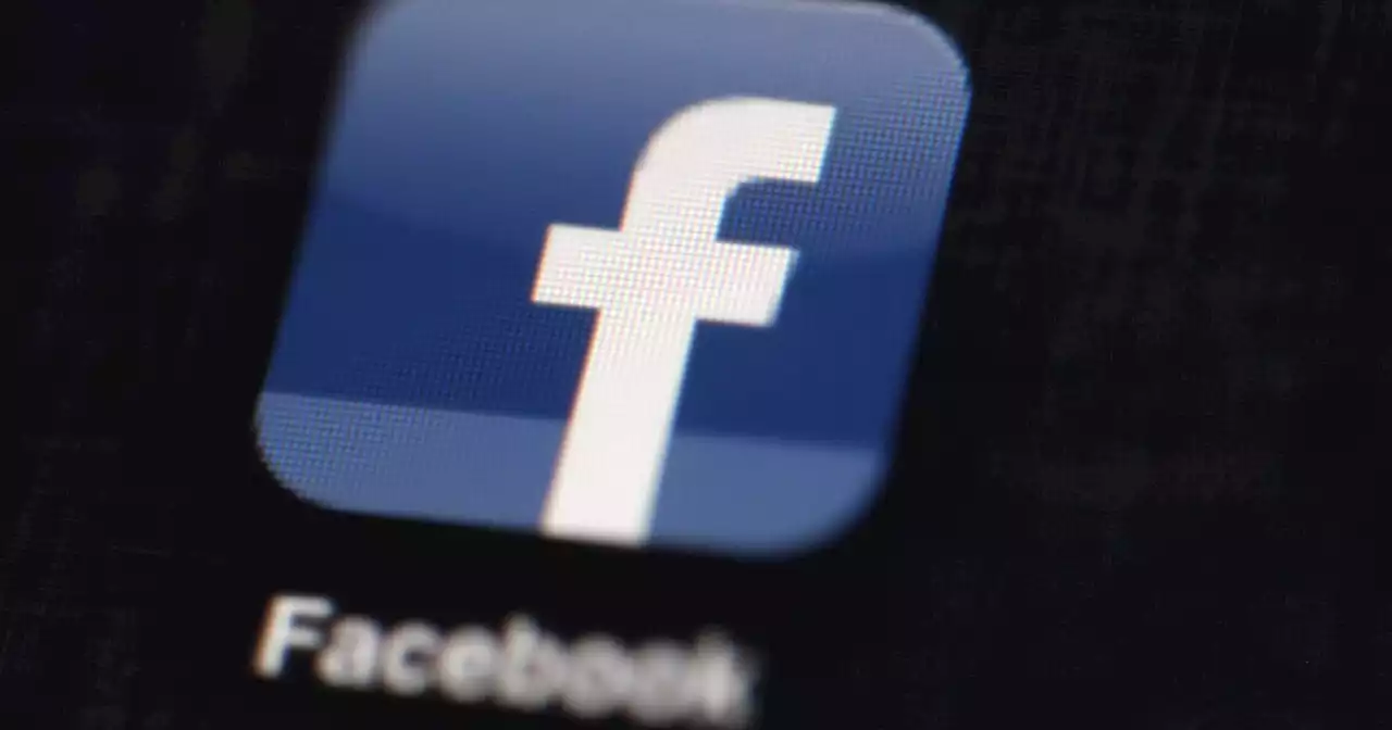 Facebook overhauls feed in bid to hold off TikTok