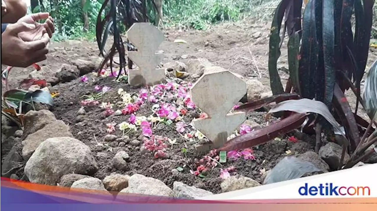 Nasib Pilu Bocah Tasik: Dipaksa Cabuli Kucing Berujung Kematian