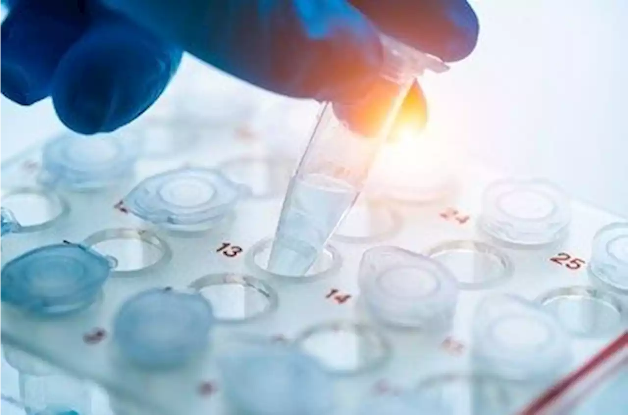 Science, technology, innovation key to driving economic growth: NEDA