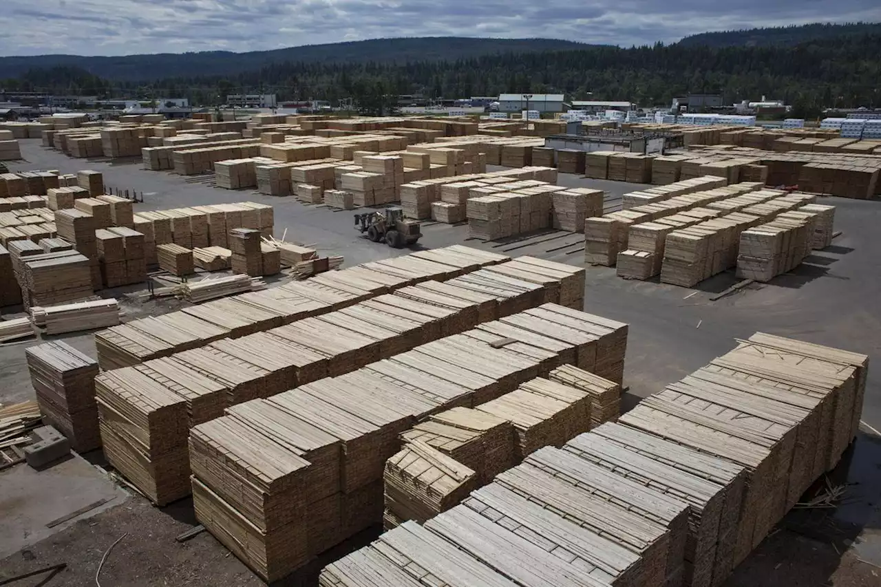 West Fraser amasses $706-million in lumber duty deposits as potential suitors circle