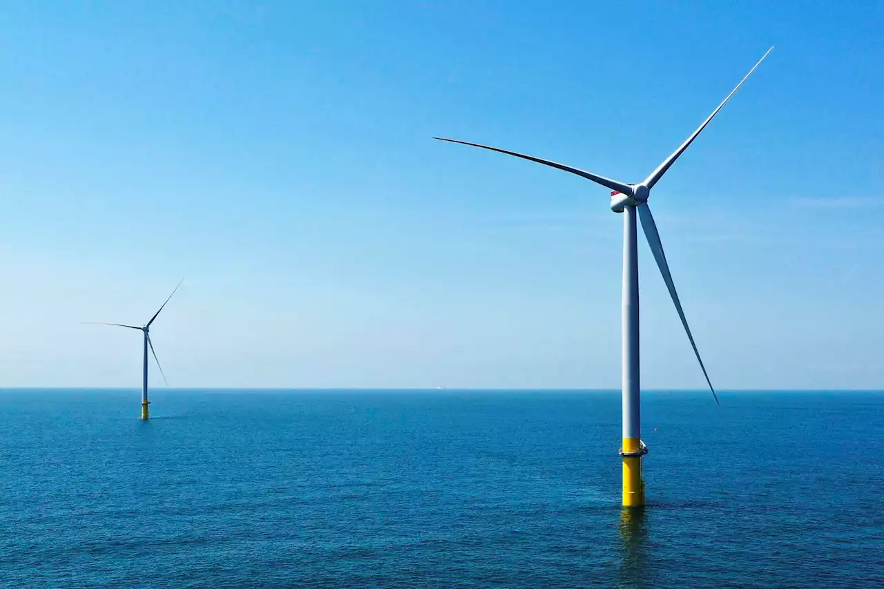 Feds want to build massive wind farm larger than the City of Houston off the coast of Galveston