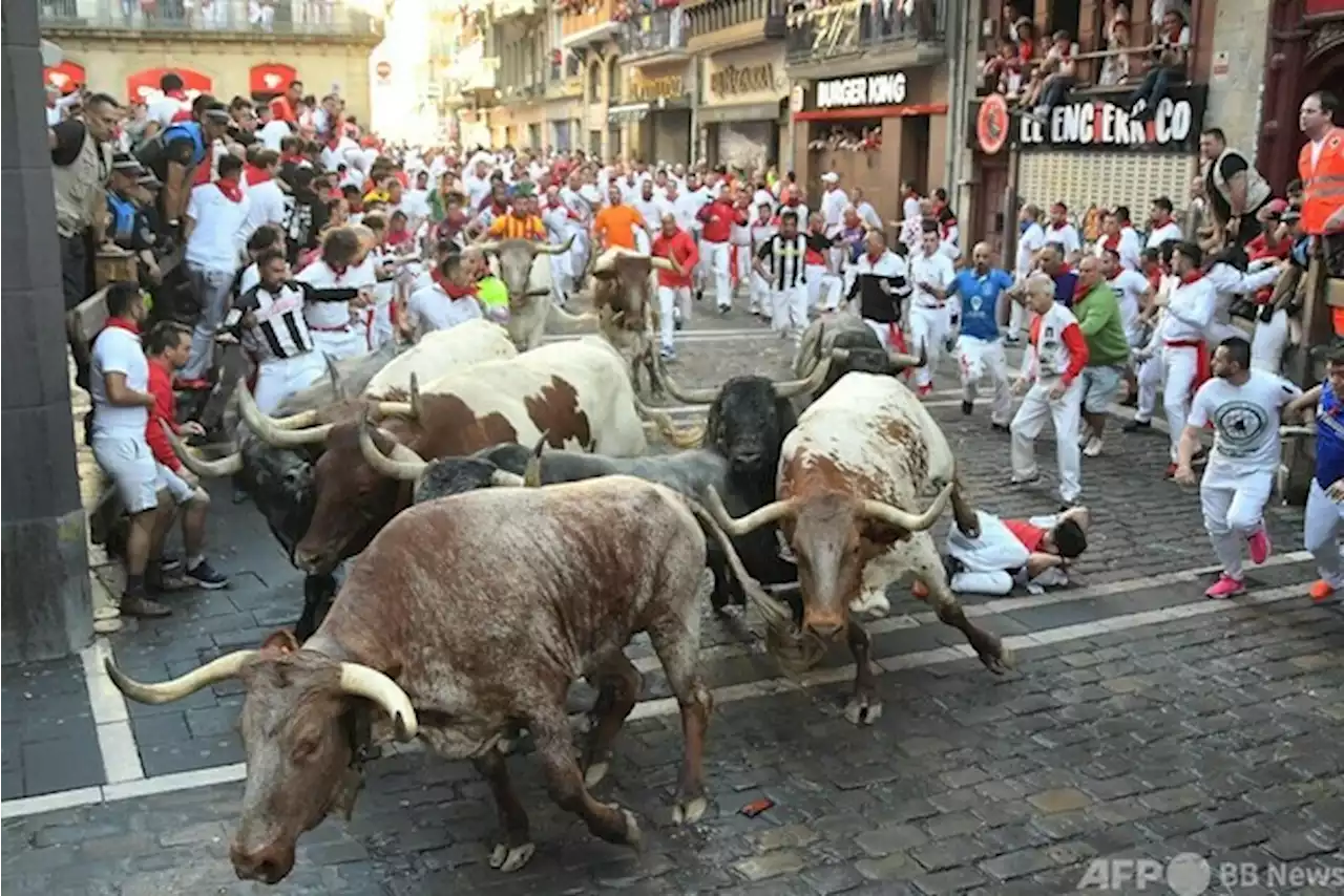 牛追い祭りで3人死亡 スペイン東部 - トピックス｜Infoseekニュース