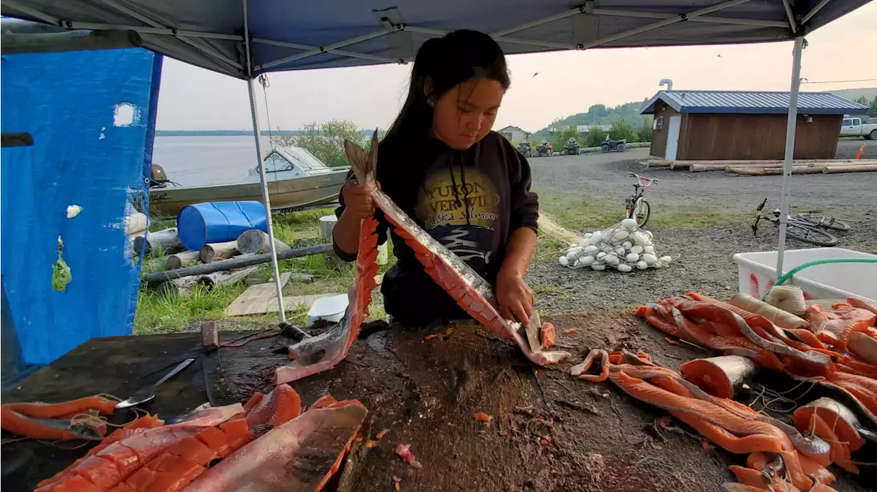 Fish for Families aims to bring Bristol Bay sockeye to Alaska communities facing low salmon runs