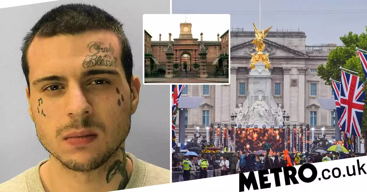 Man 'who trespassed in Buckingham Palace' said 'I want to see the Queen'