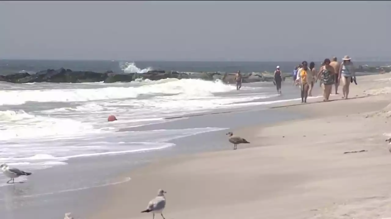 Another Long Island Surfer Bitten By Shark After Earlier Sightings, One Washing Ashore