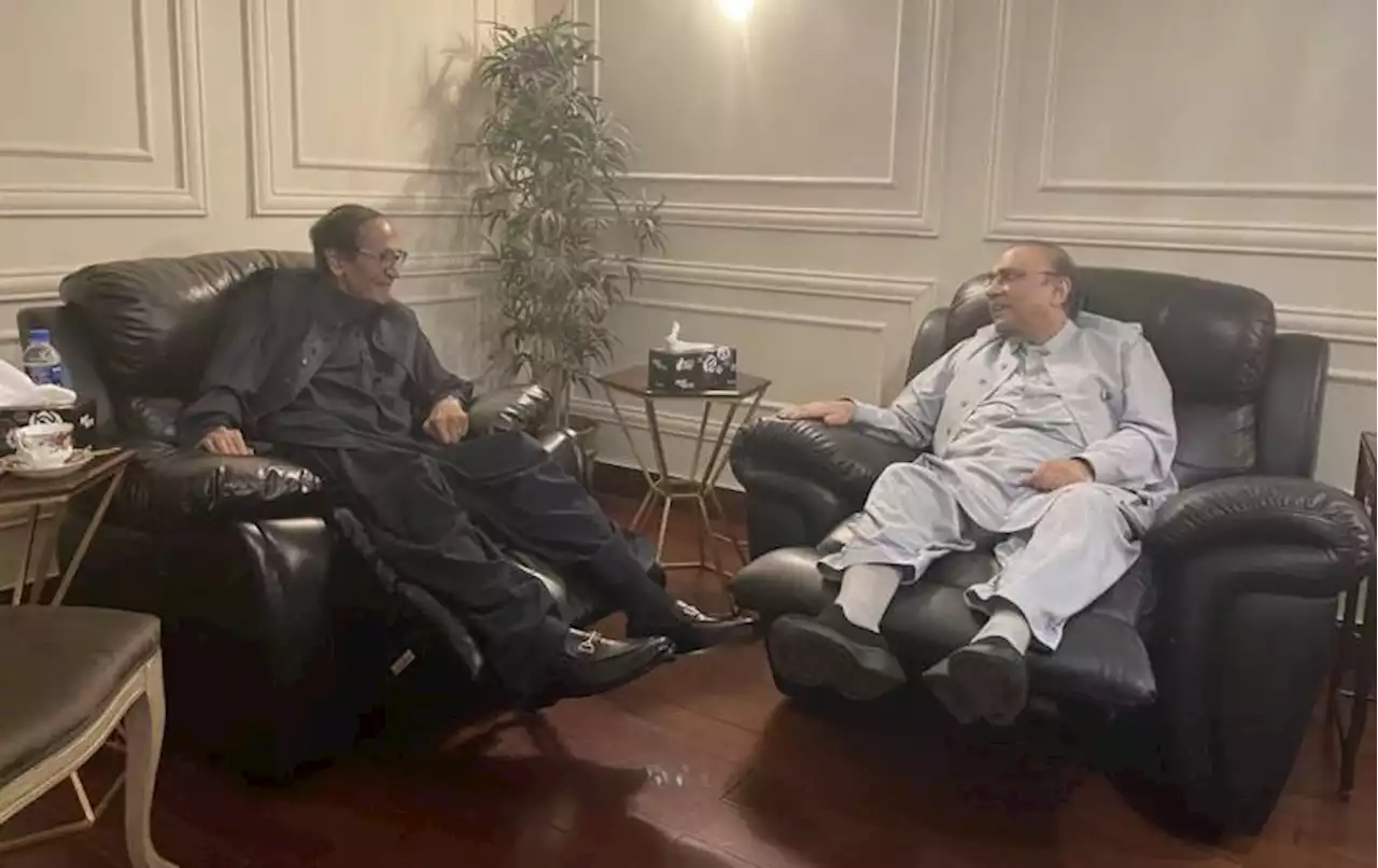 آصف زرداری چودھری شجاعت ملاقات میں کھانے کا وقفہ پسندیدہ کھانا پہنچا دیا گیا