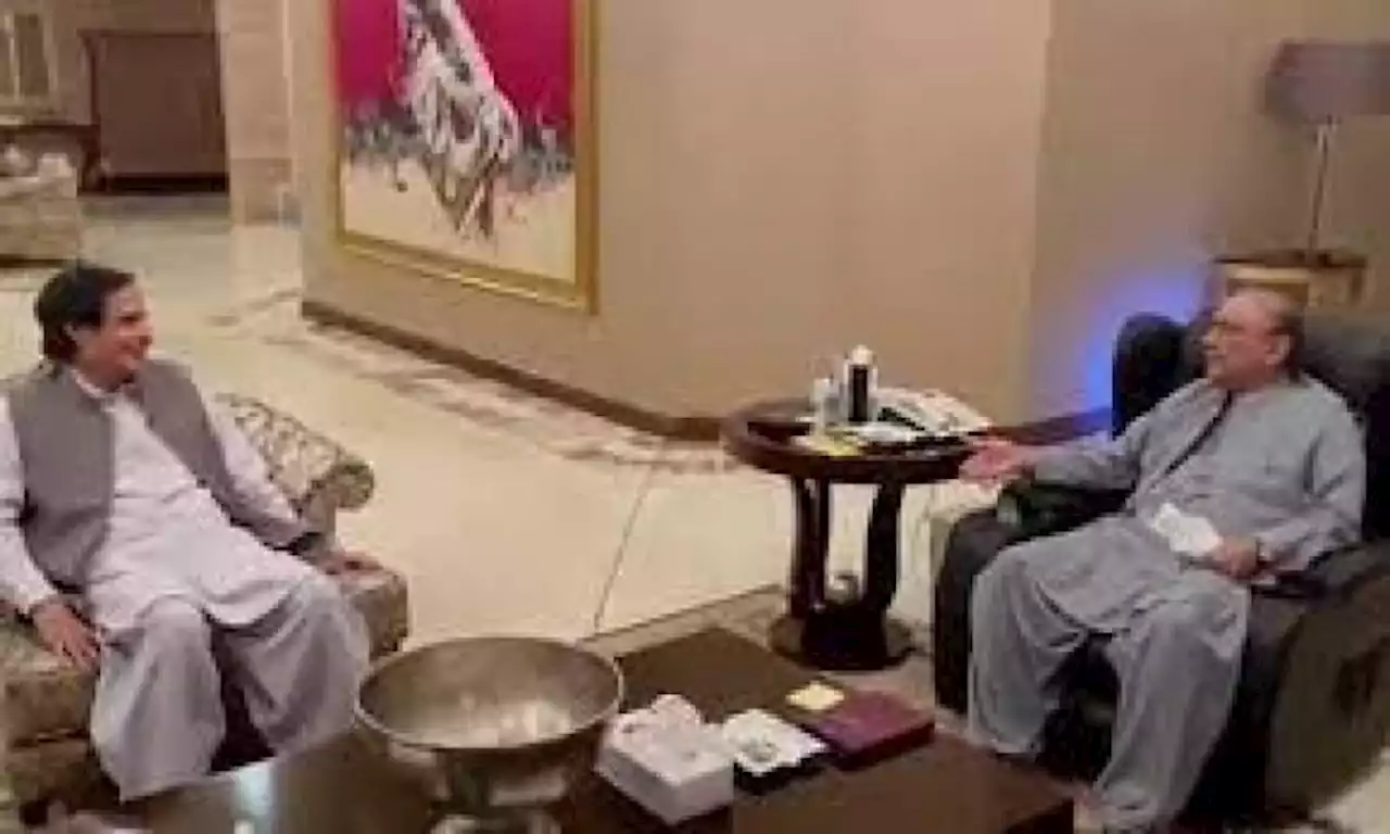 آصف زرداری ملاقات کے خواہشمند پرویز الہٰی کا ملنے سے انکار