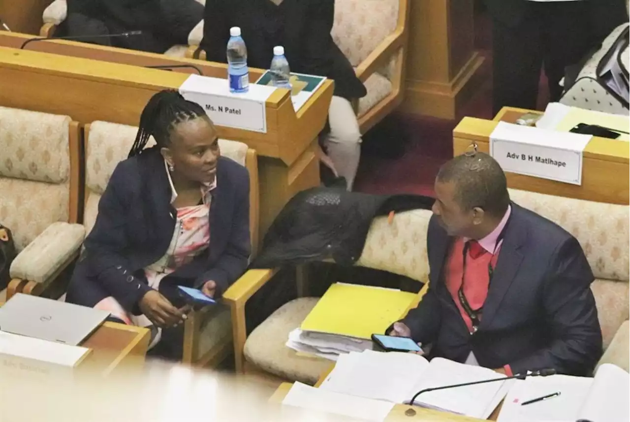 Mkhwebane impeachment: Taxpayers face paying R130 000 a day for legal team led by Mpofu | News24