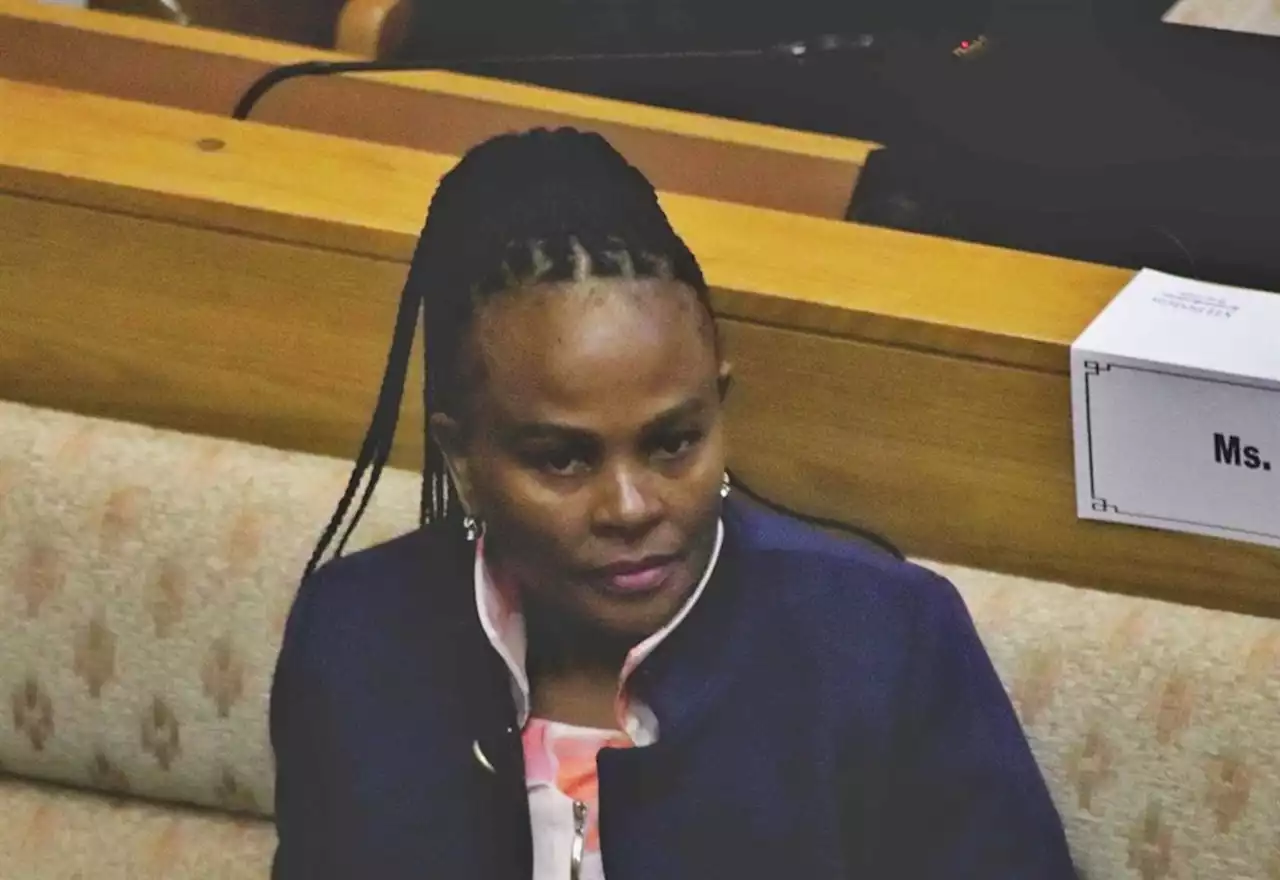 Why Busisiwe Mkhwebane is not at risk of facing double jeopardy | News24