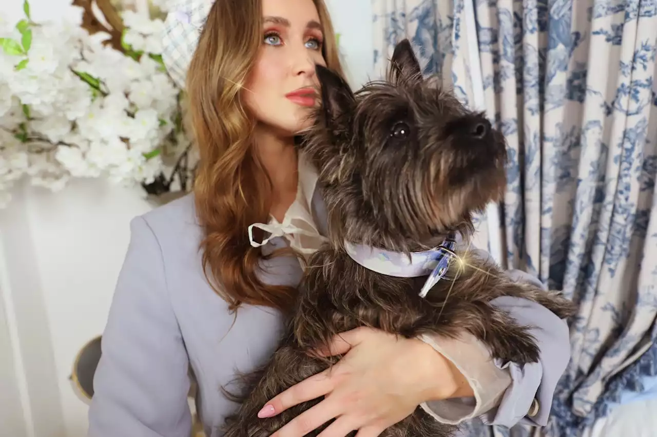 Meet Daisy By Shelby, Your Furry Friend's New Cute Accessories Brand