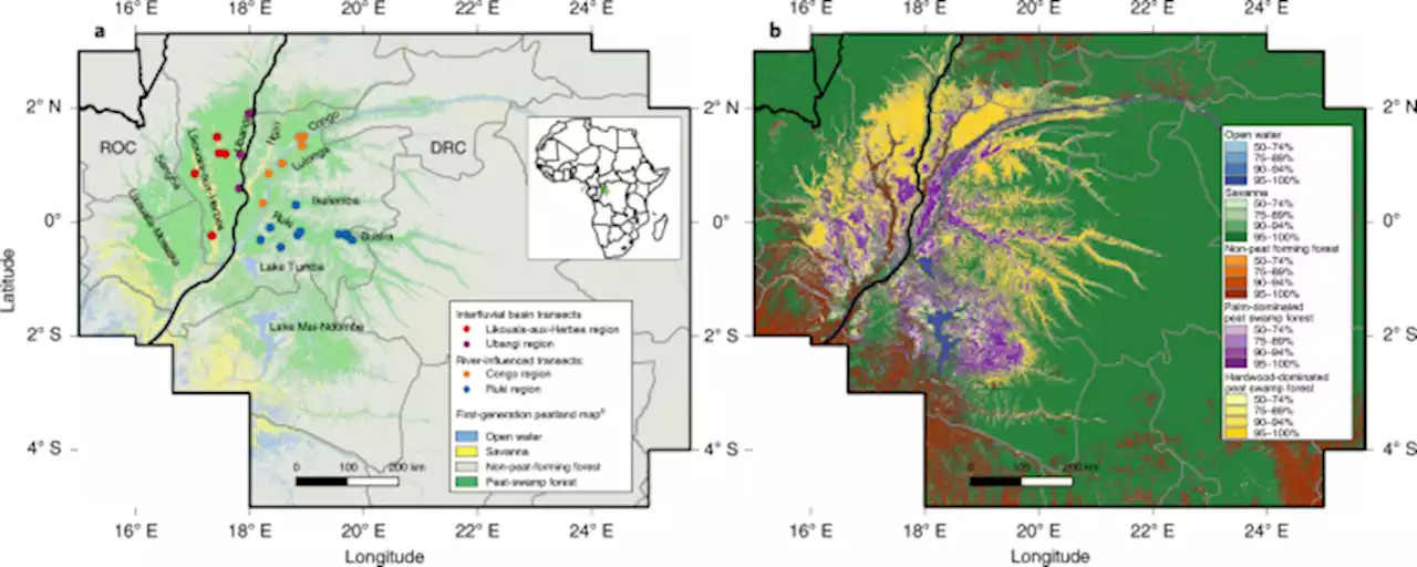 Mapping peat thickness and carbon stocks of the central Congo Basin using field data - Nature Geoscience