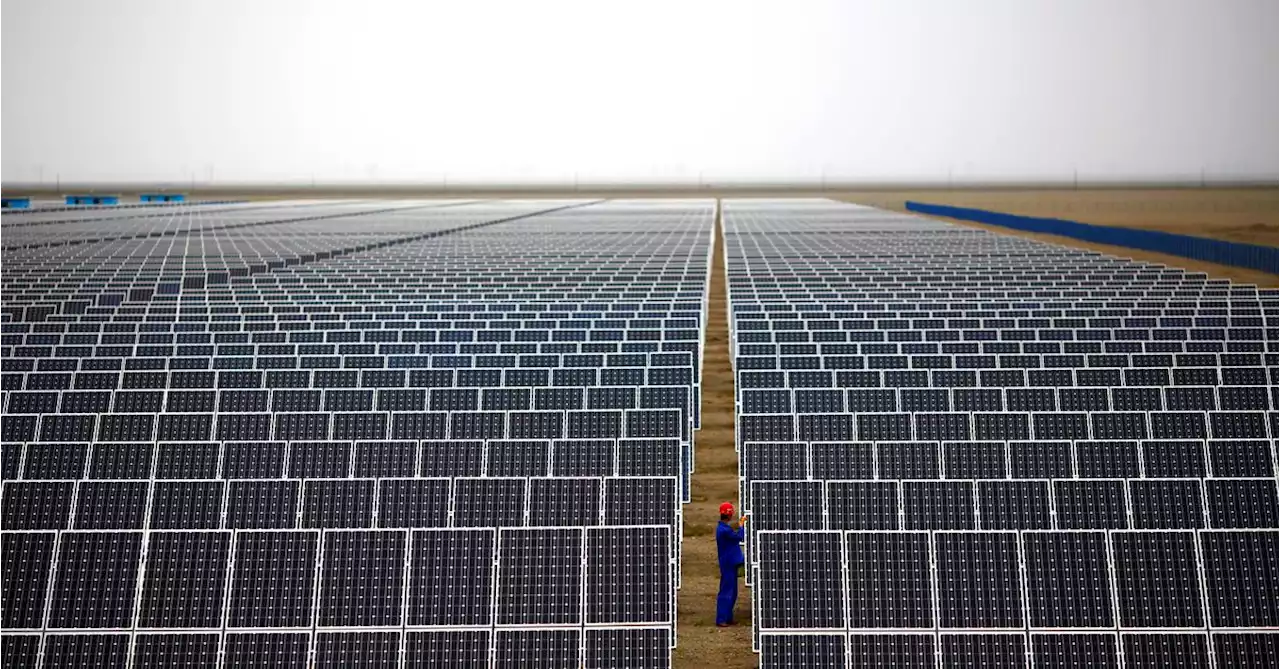 China solar installations more than double in first half - assn