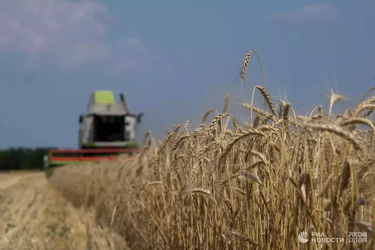 Нельзя считать работу над соглашением по зерну завершенной, заявили в ООН