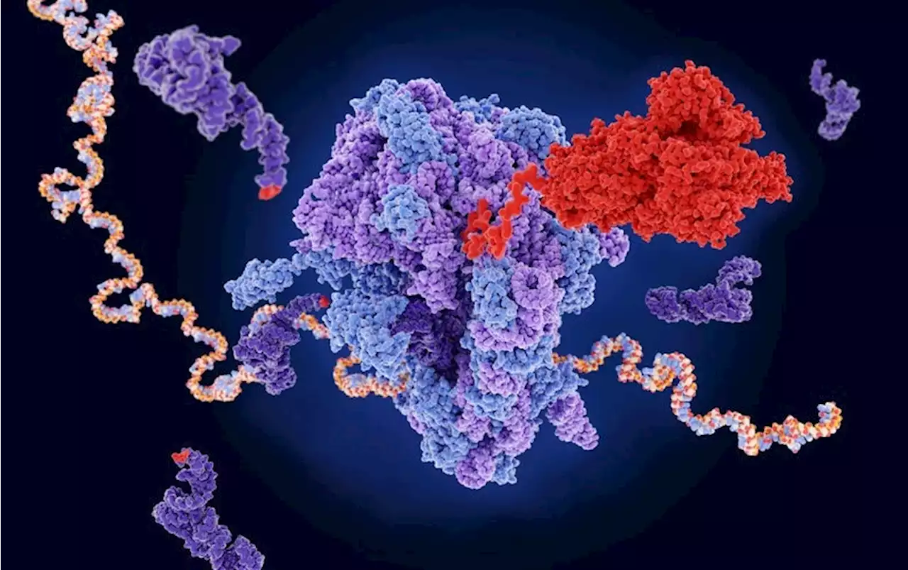 People with Long COVID May Still Have Spike Proteins in Their Blood