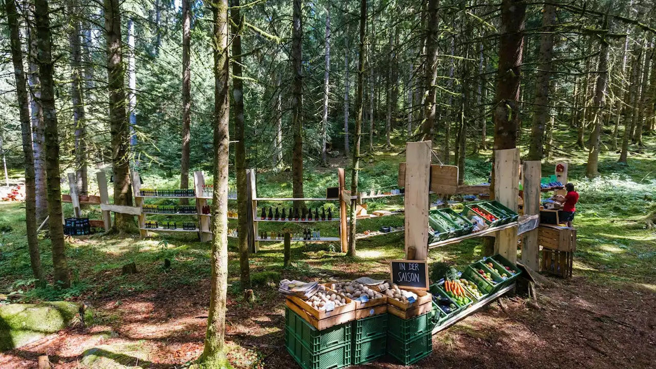 Open Air mitten im Schwarzwald: So einen Supermarkt kennst du noch nicht