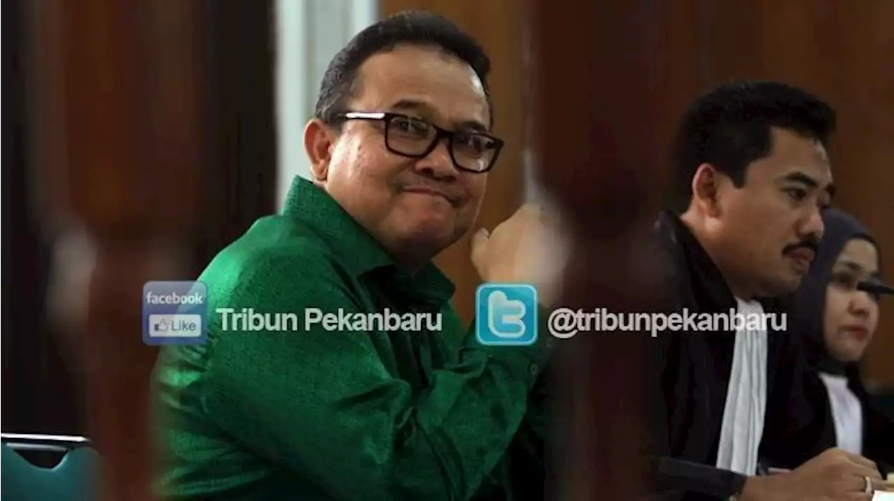 PROFIL Gubernur Riau Dua Periode Rusli Zainal, Perjalanan Kasusnya hingga Bebas dari Lapas Pekanbaru - Tribunnews.com